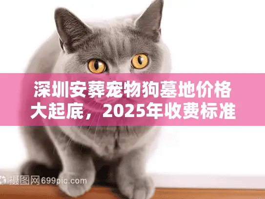 深圳安葬宠物狗墓地价格大起底，2025年收费标准与避坑实况