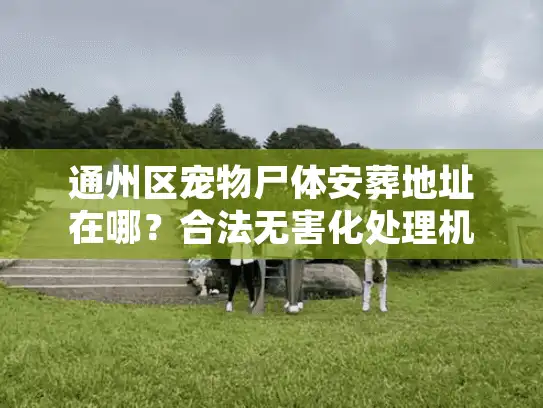 通州区宠物尸体安葬地址在哪？合法无害化处理机构深度测评
