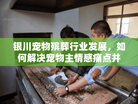 银川宠物殡葬行业发展,如何解决宠物主情感痛点并提升服务? 银川宠物殡葬行业发展,如何解决宠物主情感痛点并提升服务?
