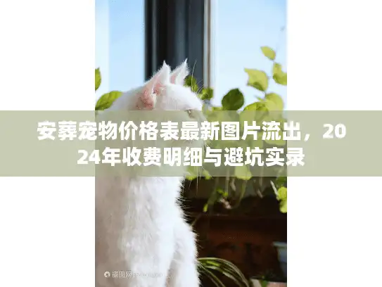 安葬宠物价格表最新图片流出，2024年收费明细与避坑实录