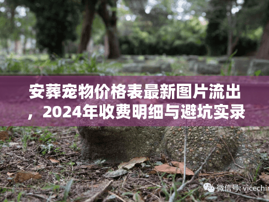 安葬宠物价格表最新图片流出，2024年收费明细与避坑实录