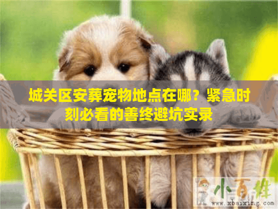 城关区安葬宠物地点在哪？紧急时刻必看的善终避坑实录