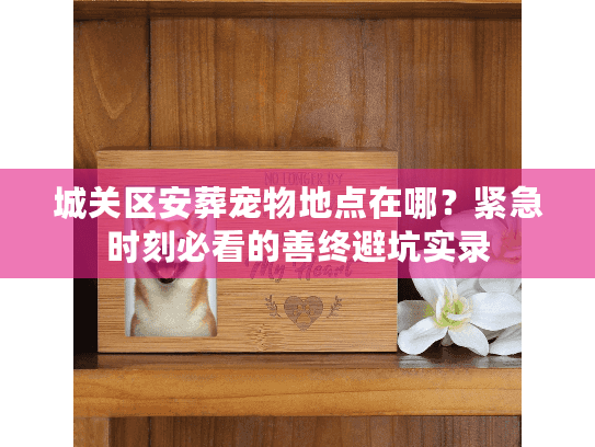 城关区安葬宠物地点在哪？紧急时刻必看的善终避坑实录
