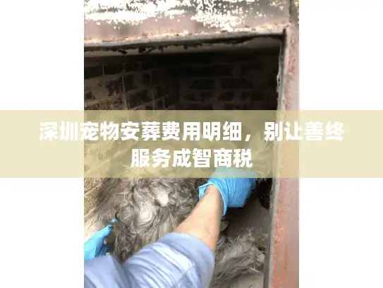 深圳宠物安葬费用明细，别让善终服务成智商税