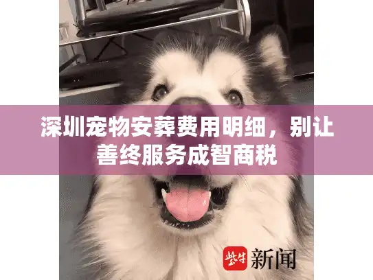 深圳宠物安葬费用明细，别让善终服务成智商税