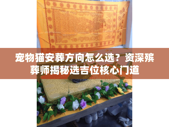 宠物猫安葬方向怎么选?资深殡葬师揭秘选吉位核心门道 宠物猫安葬方向怎么选?资深殡葬师揭秘选吉位核心门道