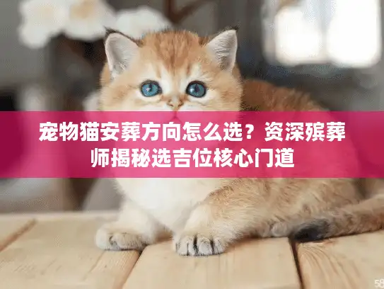 宠物猫安葬方向怎么选?资深殡葬师揭秘选吉位核心门道 宠物猫安葬方向怎么选?资深殡葬师揭秘选吉位核心门道