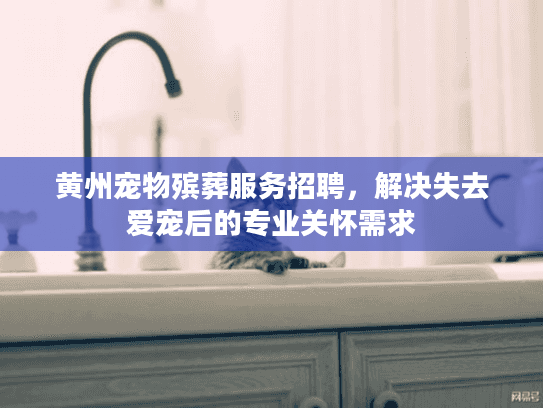 黄州宠物殡葬服务招聘,解决失去爱宠后的专业关怀需求 黄州宠物殡葬服务招聘,解决失去爱宠后的专业关怀需求