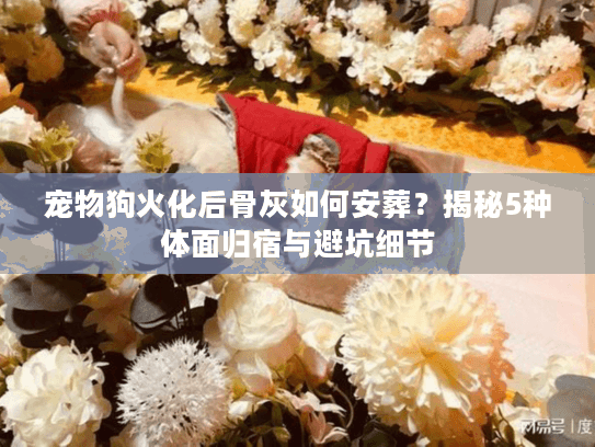 宠物狗火化后骨灰如何安葬？揭秘5种体面归宿与避坑细节