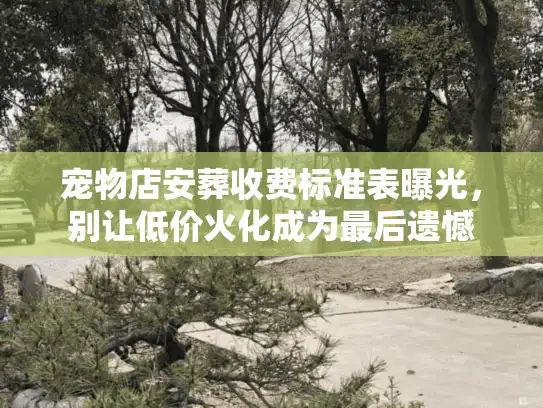 宠物店安葬收费标准表曝光,别让低价火化成为最后遗憾 宠物店安葬收费标准表曝光,别让低价火化成为最后遗憾