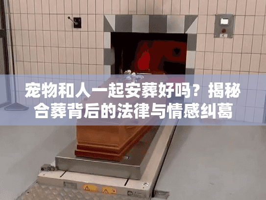宠物和人一起安葬好吗?揭秘合葬背后的法律与情感纠葛 宠物和人一起安葬好吗?揭秘合葬背后的法律与情感纠葛