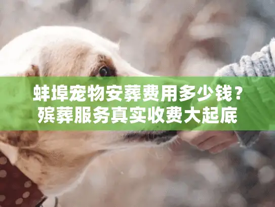 蚌埠宠物安葬费用多少钱？殡葬服务真实收费大起底