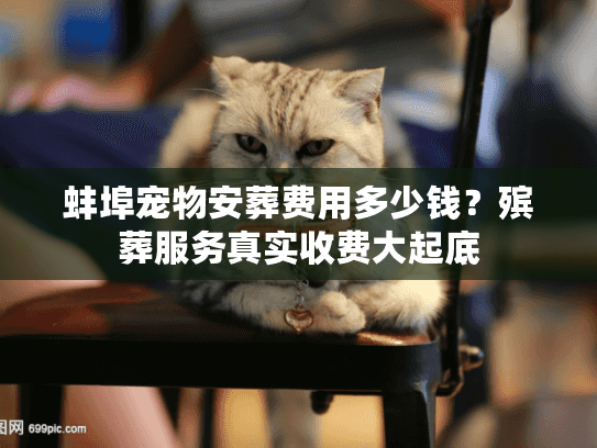 蚌埠宠物安葬费用多少钱？殡葬服务真实收费大起底