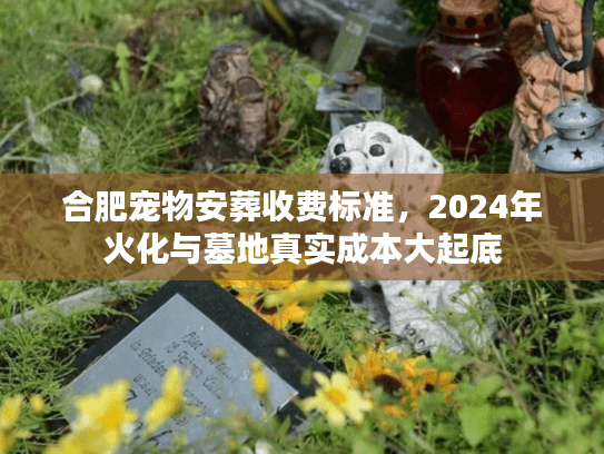 合肥宠物安葬收费标准,2024年火化与墓地真实成本大起底 合肥宠物安葬收费标准,2024年火化与墓地真实成本大起底