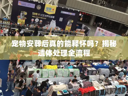 宠物安葬后真的能释怀吗?揭秘遗体处理全流程 宠物安葬后真的能释怀吗?揭秘遗体处理全流程