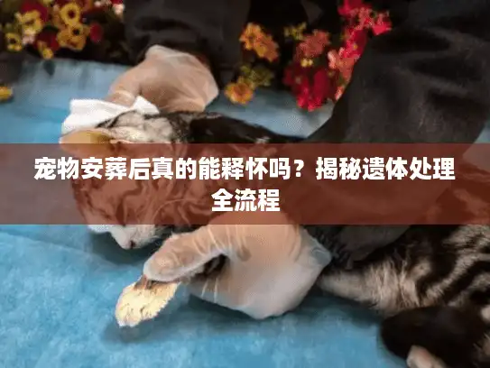 宠物安葬后真的能释怀吗?揭秘遗体处理全流程 宠物安葬后真的能释怀吗?揭秘遗体处理全流程