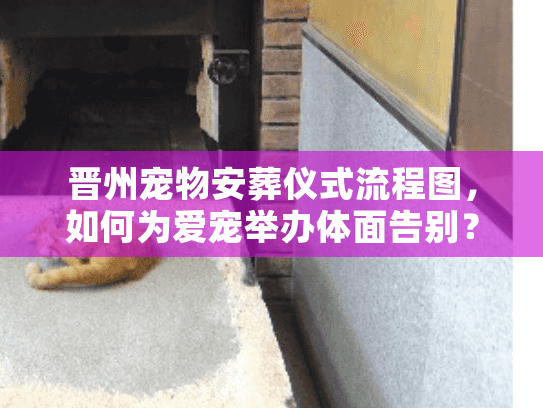 晋州宠物安葬仪式流程图，如何为爱宠举办体面告别？
