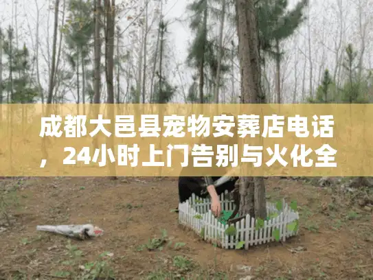 成都大邑县宠物安葬店电话,24小时上门告别与火化全流程 成都大邑县宠物安葬店电话,24小时上门告别与火化全流程