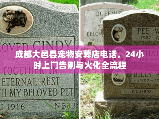 成都大邑县宠物安葬店电话,24小时上门告别与火化全流程 成都大邑县宠物安葬店电话,24小时上门告别与火化全流程