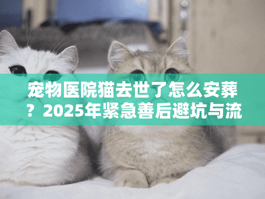 宠物医院猫去世了怎么安葬？2025年紧急善后避坑与流程