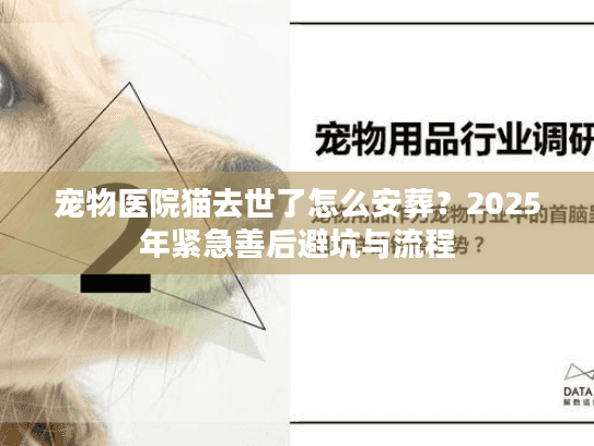 宠物医院猫去世了怎么安葬？2025年紧急善后避坑与流程