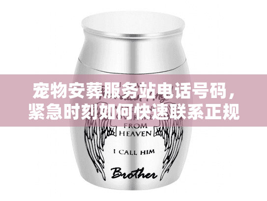 宠物安葬服务站电话号码,紧急时刻如何快速联系正规团队? 宠物安葬服务站电话号码,紧急时刻如何快速联系正规团队?