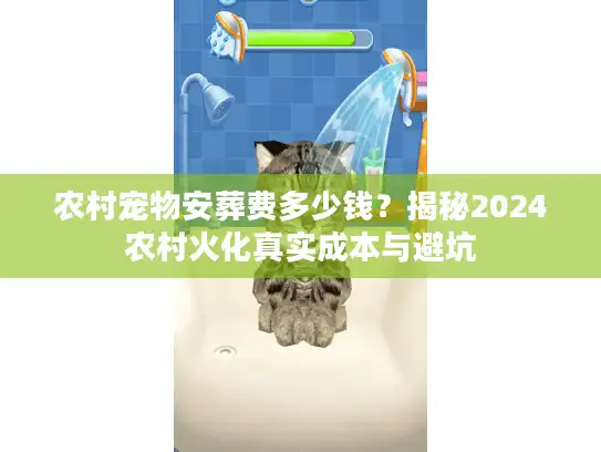 农村宠物安葬费多少钱？揭秘2024农村火化真实成本与避坑