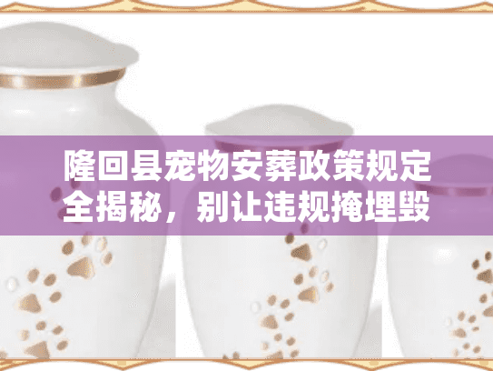 隆回县宠物安葬政策规定全揭秘，别让违规掩埋毁了环境