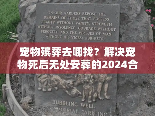 宠物殡葬去哪找？解决宠物死后无处安葬的2024合规实录