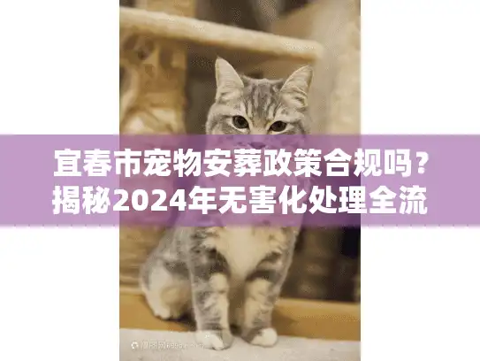 宜春市宠物安葬政策合规吗？揭秘2024年无害化处理全流程