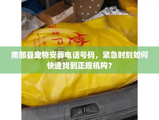 南部县宠物安葬电话号码，紧急时刻如何快速找到正规机构？