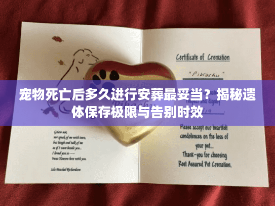 宠物死亡后多久进行安葬最妥当？揭秘遗体保存极限与告别时效