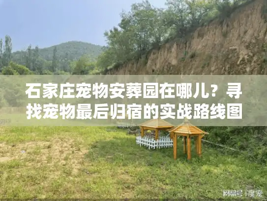 石家庄宠物安葬园在哪儿？寻找宠物最后归宿的实战路线图