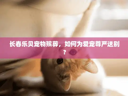 长春乐贝宠物殡葬,如何为爱宠尊严送别? 长春乐贝宠物殡葬,如何为爱宠尊严送别?