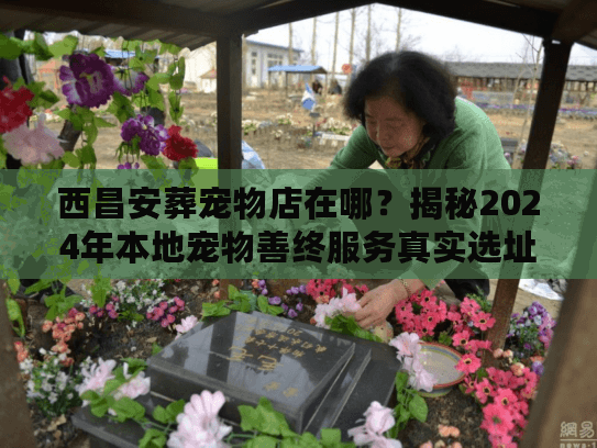 西昌安葬宠物店在哪？揭秘2024年本地宠物善终服务真实选址