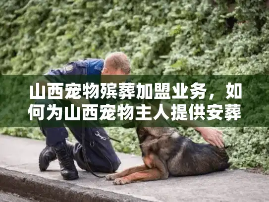 山西宠物殡葬加盟业务，如何为山西宠物主人提供安葬解决之道？