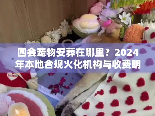 四会宠物安葬在哪里？2024年本地合规火化机构与收费明细