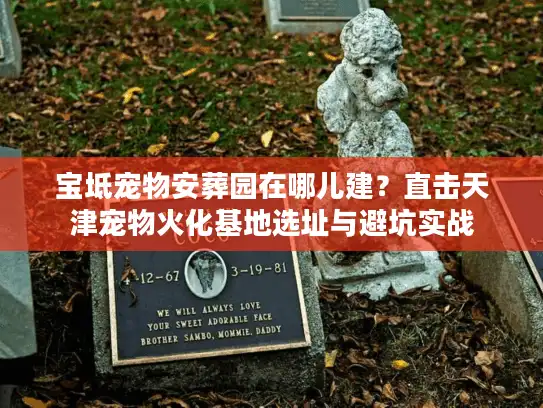 宝坻宠物安葬园在哪儿建？直击天津宠物火化基地选址与避坑实战