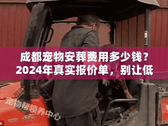 成都宠物安葬费用多少钱？2024年真实报价单，别让低价陷阱坑了你的爱宠