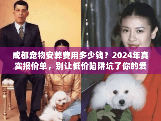 成都宠物安葬费用多少钱？2024年真实报价单，别让低价陷阱坑了你的爱宠