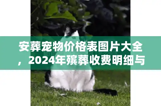 安葬宠物价格表图片大全，2024年殡葬收费明细与避坑实录