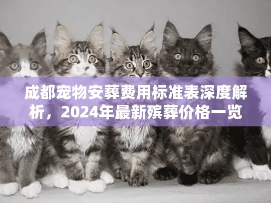 成都宠物安葬费用标准表深度解析，2024年最新殡葬价格一览