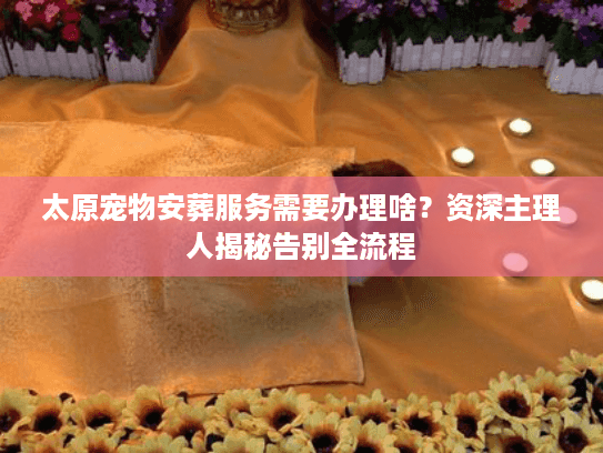 太原宠物安葬服务需要办理啥?资深主理人揭秘告别全流程 太原宠物安葬服务需要办理啥?资深主理人揭秘告别全流程