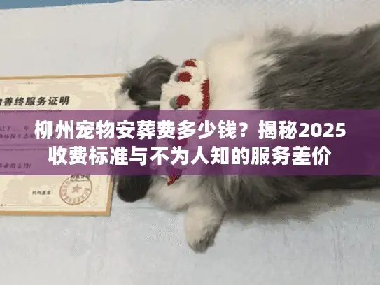 柳州宠物安葬费多少钱?揭秘2025收费标准与不为人知的服务差价 柳州宠物安葬费多少钱?揭秘2025收费标准与不为人知的服务差价