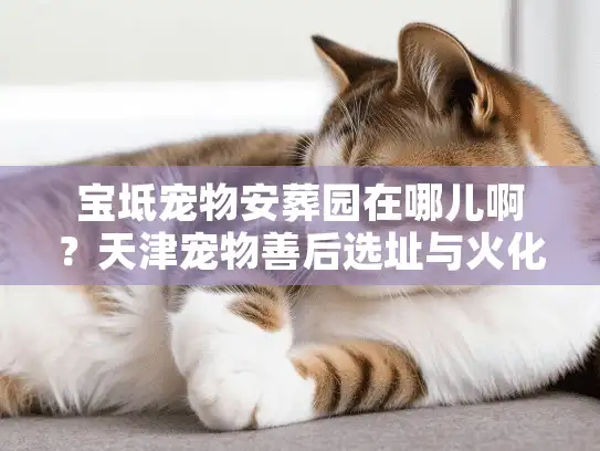 宝坻宠物安葬园在哪儿啊？天津宠物善后选址与火化避坑实战