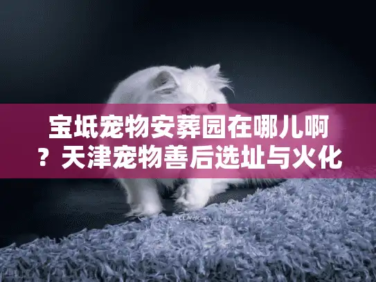 宝坻宠物安葬园在哪儿啊？天津宠物善后选址与火化避坑实战