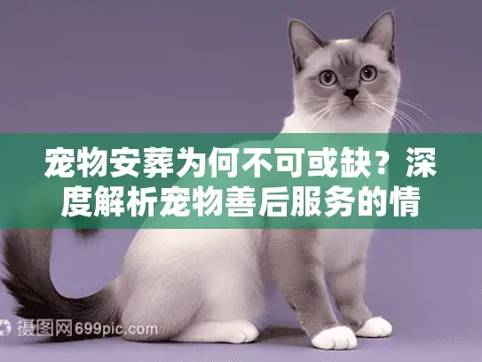 宠物安葬为何不可或缺？深度解析宠物善后服务的情感价值与专业选择