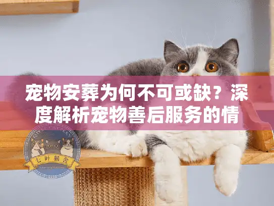 宠物安葬为何不可或缺？深度解析宠物善后服务的情感价值与专业选择