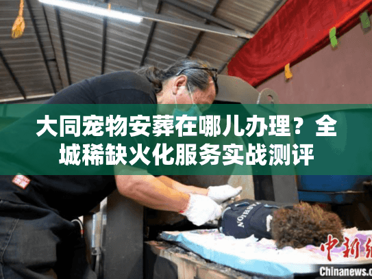大同宠物安葬在哪儿办理？全城稀缺火化服务实战测评