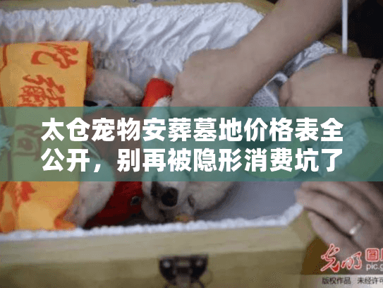 太仓宠物安葬墓地价格表全公开，别再被隐形消费坑了